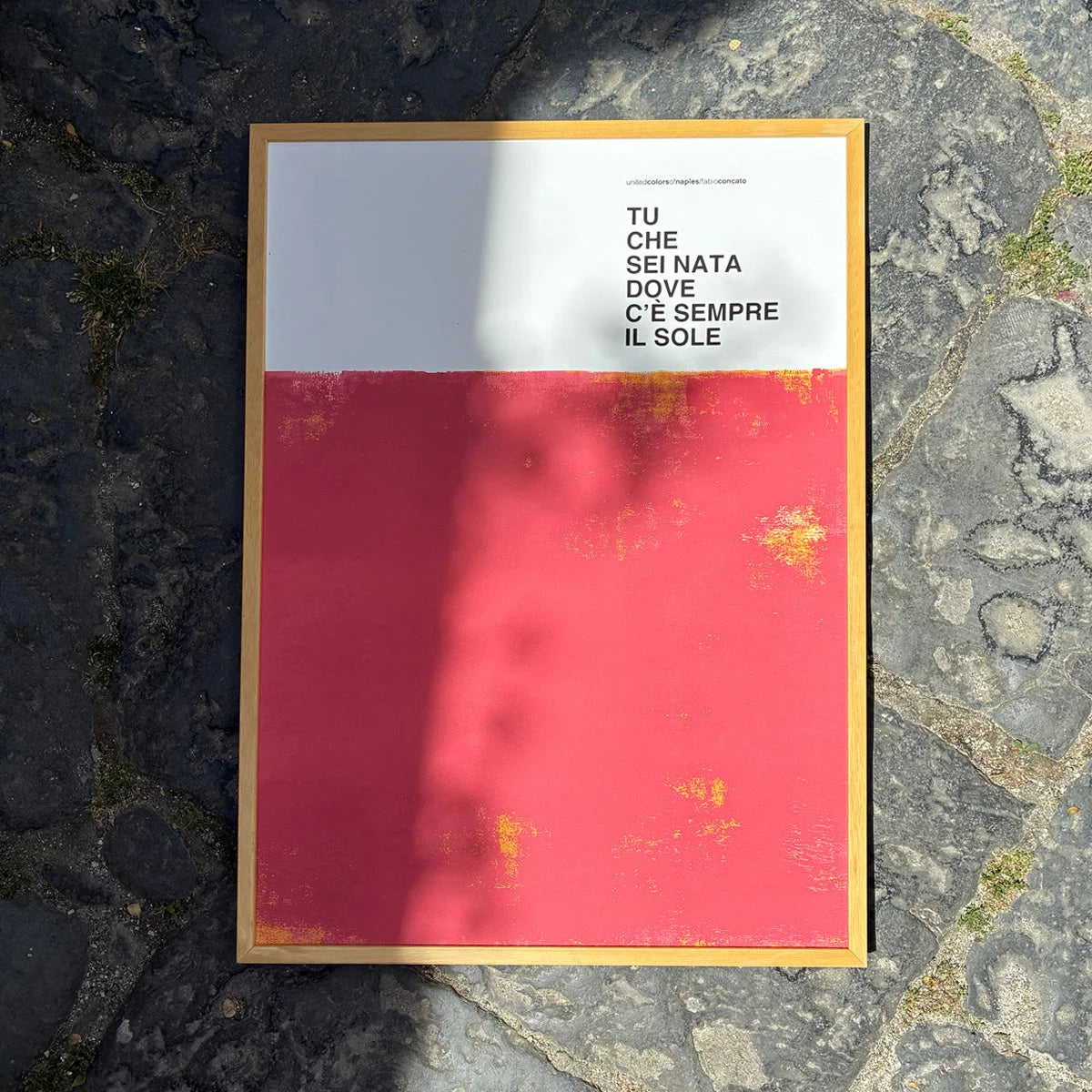 Opera Poster Fiore di Maggio, Fabio Concato – Versione Alternativa | United Colors of Naples