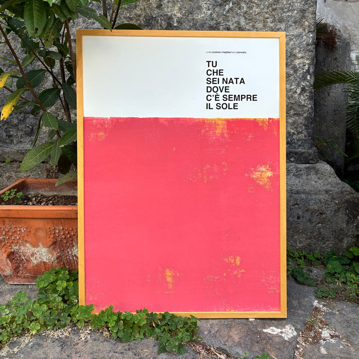 Fiore di Maggio, Fabio Concato